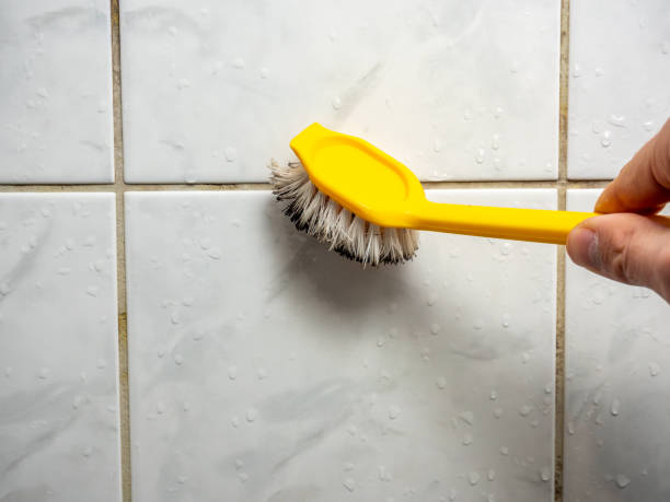 Best Black Mold Remediation in Neenah, WI